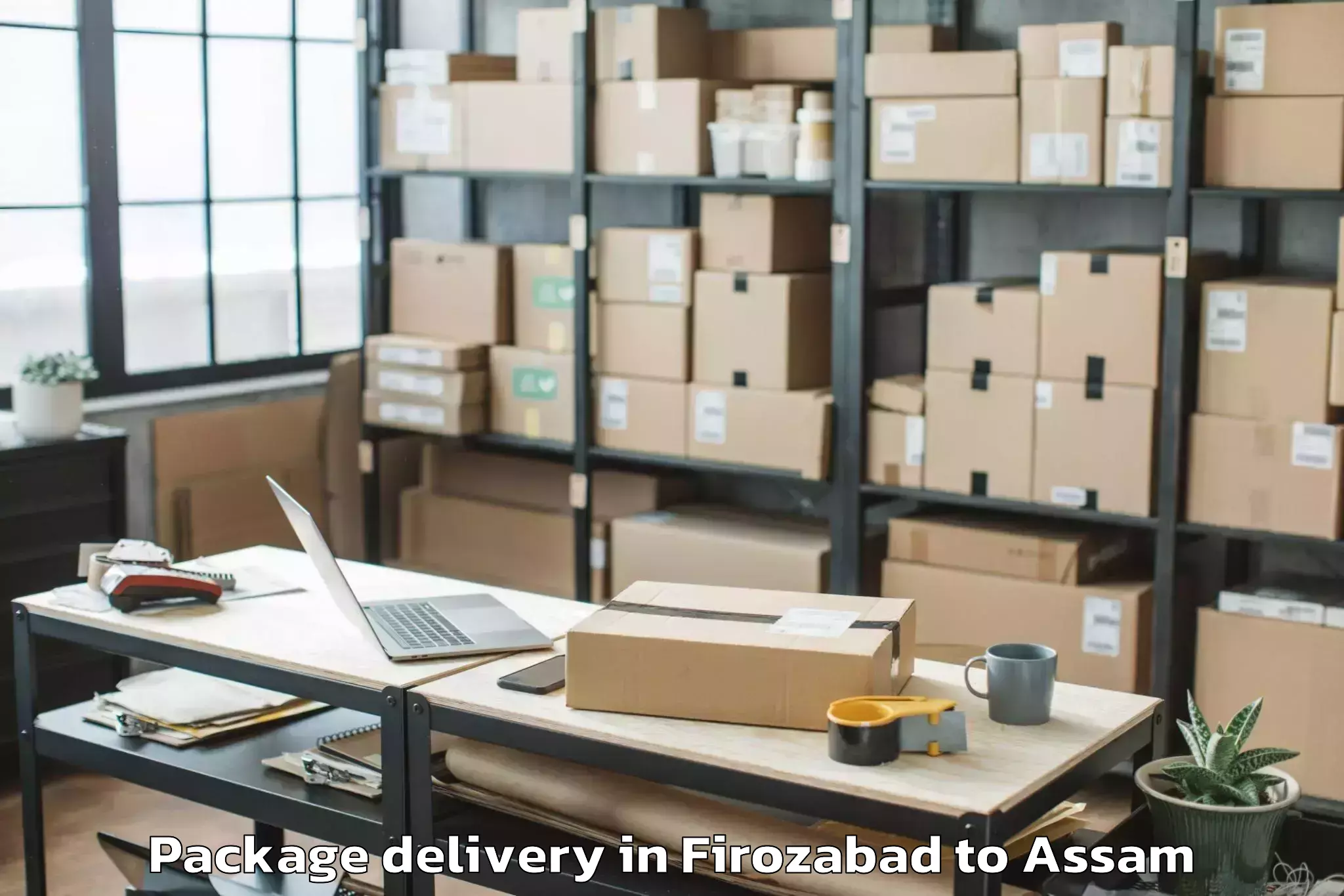 Hassle-Free Firozabad to Dibrugarh University Dibrugarh Package Delivery